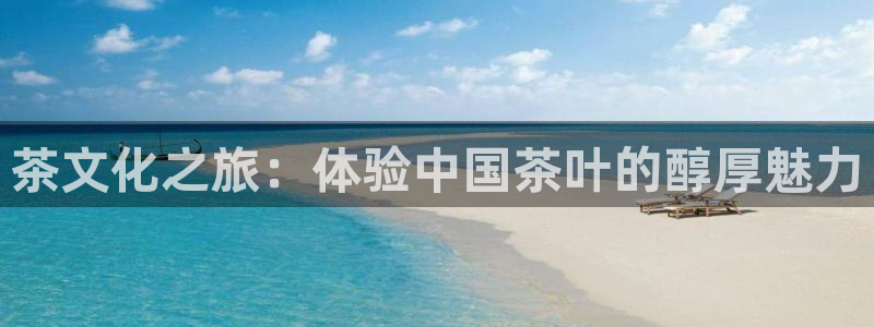 鸿运注册平台闪电