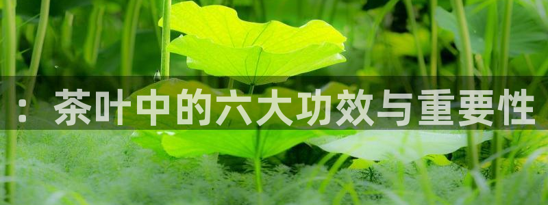 鸿运平台推荐机制