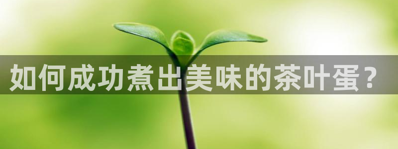 鸿运服务平台是什么