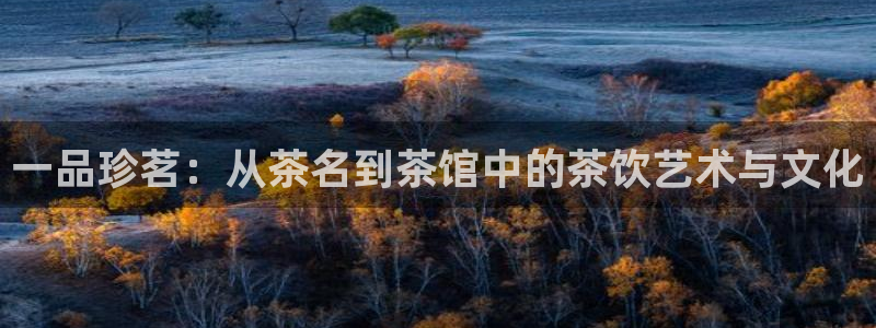 鸿运平台审核需要多久