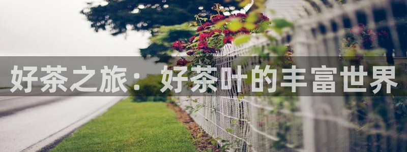 鸿运平台在线客服电话