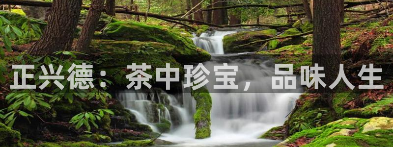 鸿运彩票平台带玩