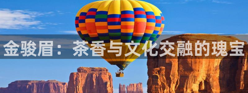 鸿运平台投资诈骗