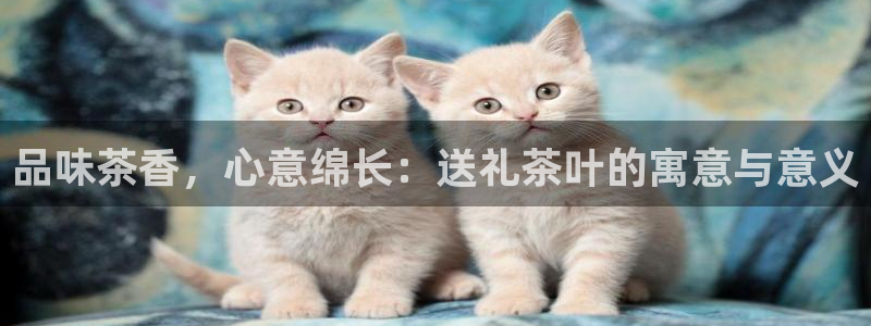 鸿运专业购彩平台网止