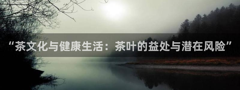 鸿运国际网址平台