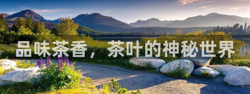 鸿运链锁管理平台