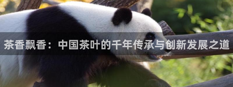 鸿运最佳平台