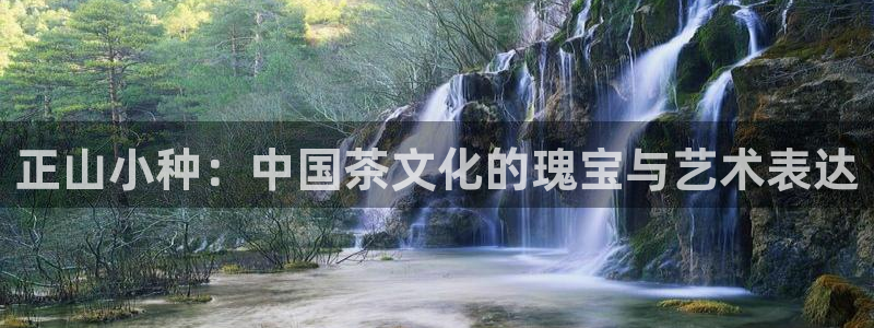 鸿运当头直播平台