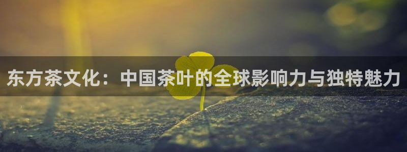 鸿运通商平台