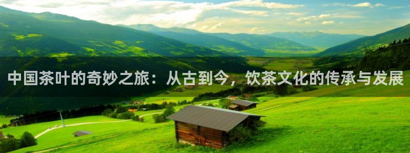 鸿运平台app
