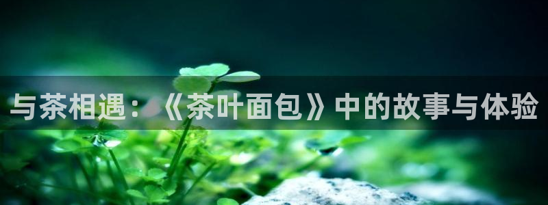 鸿运到平台在线客服