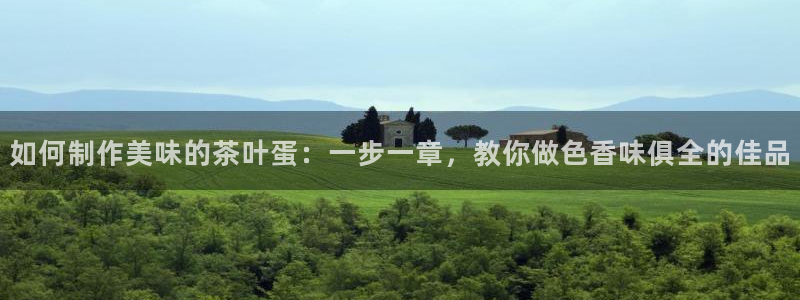 香港鸿运投资平台