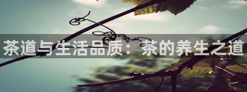 鸿运采购平台的