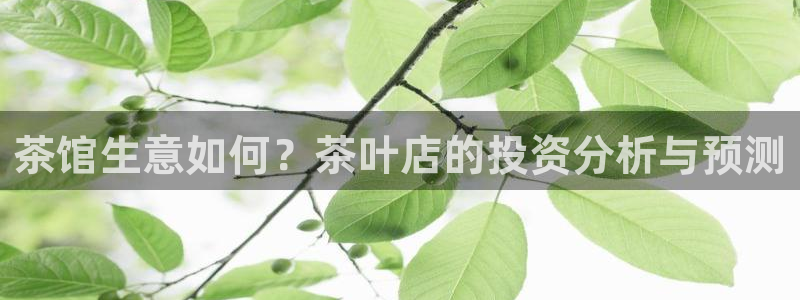 琥珀鸿运是怎样的平台