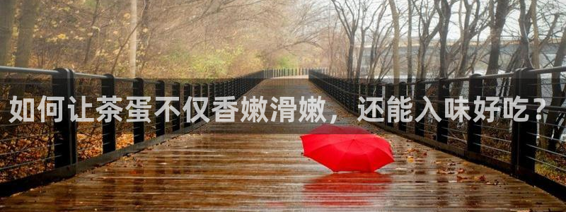 盛世鸿运是什么平台