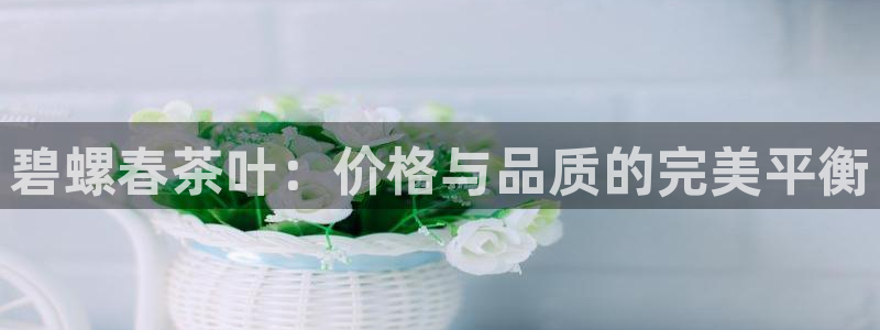 鸿运电商平台