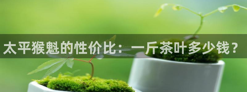 鸿运达交易平台