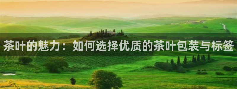 鸿运棋牌平台
