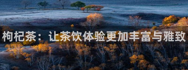 鸿运当头平台