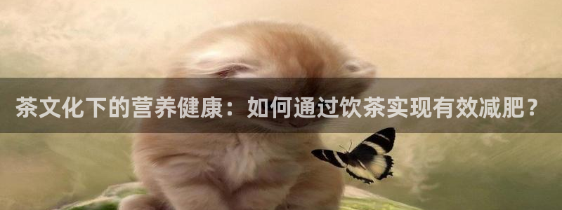 鸿运平台代理