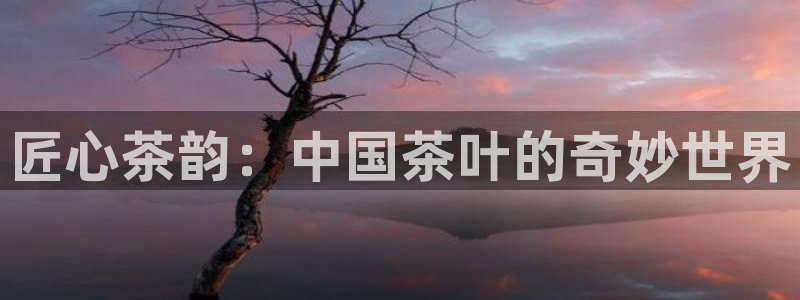 鸿运当头平台画
