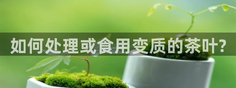 鸿运是什么平台