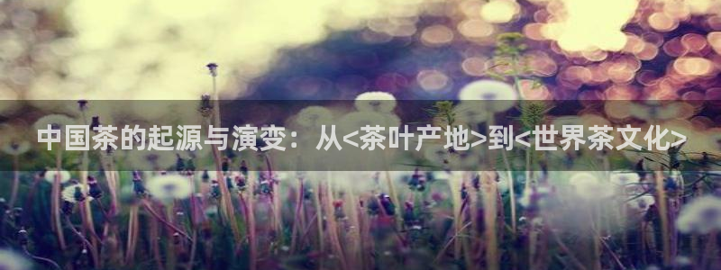 琥珀鸿运平台