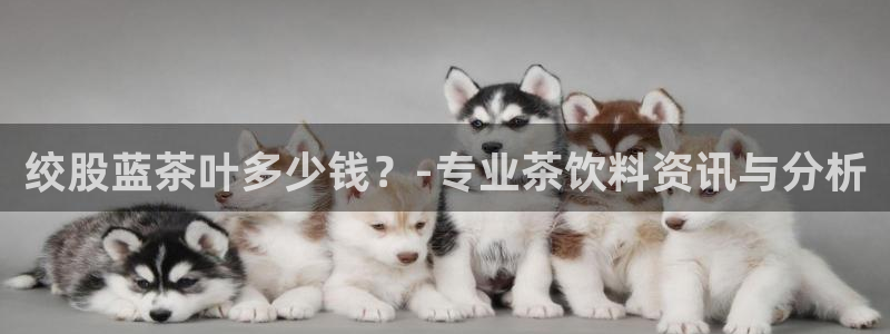 鸿运茶商平台