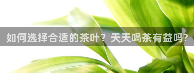 鸿运快三计划平台