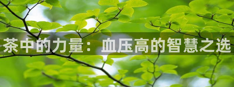 鸿运国际彩票平台