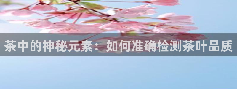 鸿运平台代理平