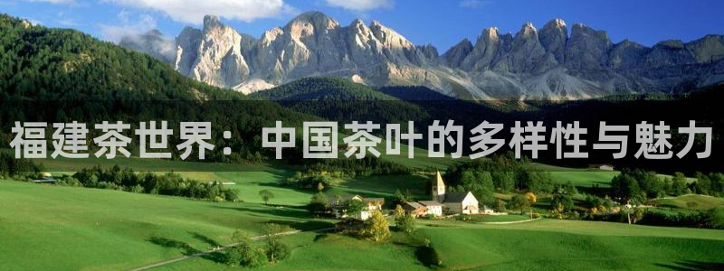 鸿运彩 票诈骗平台