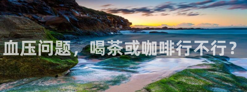 鸿运专业购彩平台