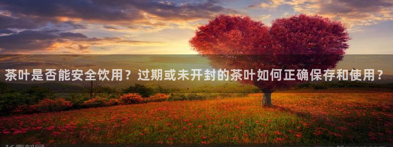 鸿运平台投资诈骗事件