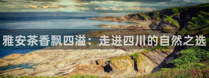 鸿运串串团购平台