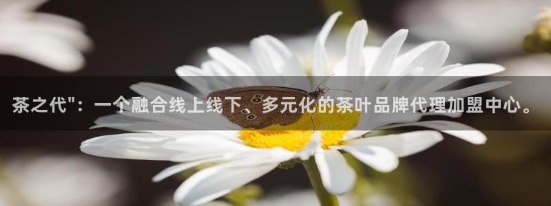 鸿运彩平台