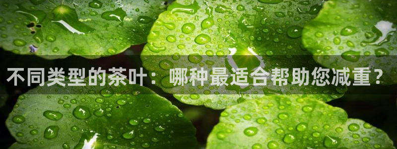 鸿运网平台是什么