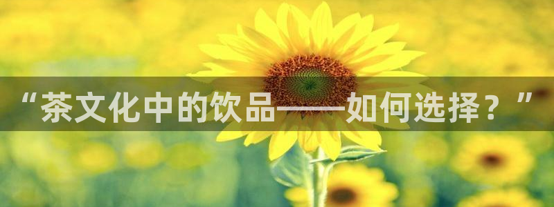 鸿运直播彩票平台