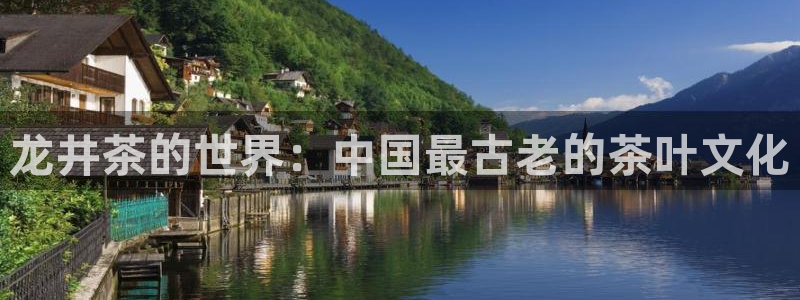 鸿运布艺团购平台