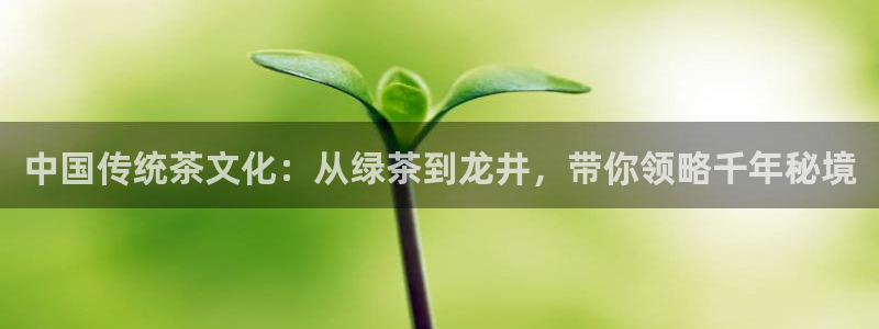 鸿运平台试玩