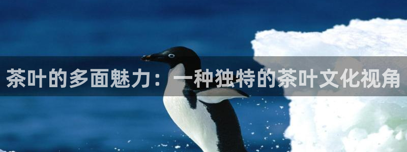 鸿运投资平台是什么平台