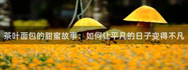 鸿运华宁技术平台