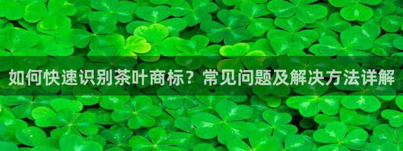 鸿运通什么平台