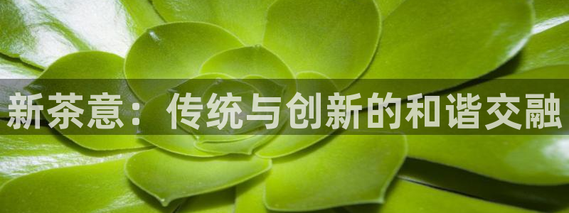 鸿运菜瞟平台