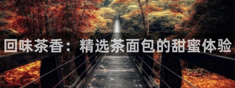 鸿运平台刷投注