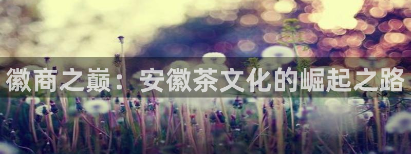 鸿运CT平台