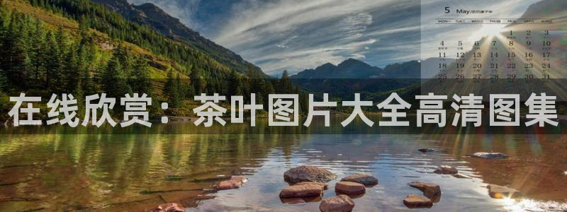 鸿运工厂直播平台
