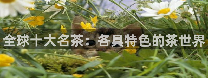 鸿运直播彩票平台