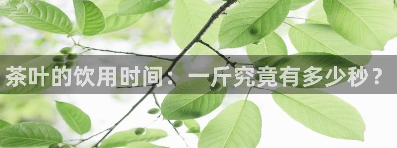 鸿运集团平台招聘