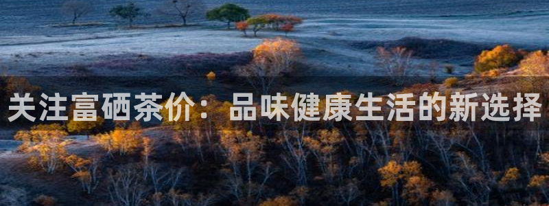 鸿运网平台用户